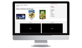 OneMIP Projects